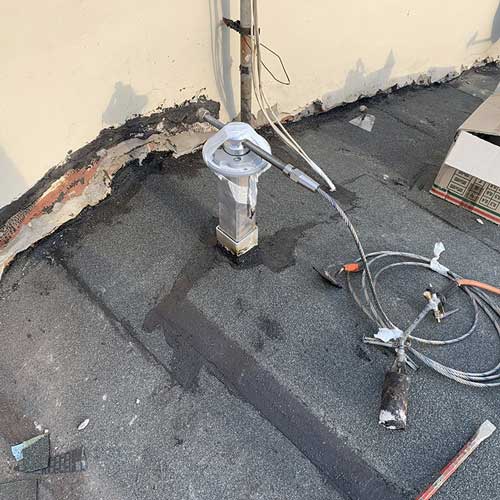 campibisenzio05 Immagine campibisenzio09