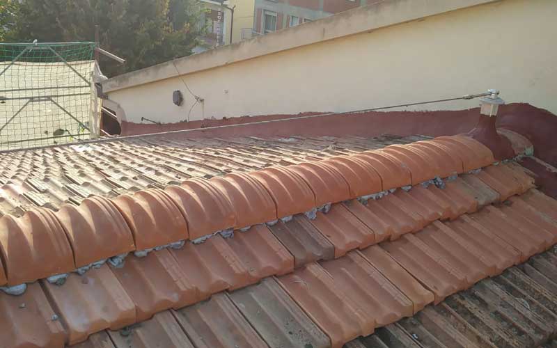 campibisenzio07 Immagine campibisenzio09